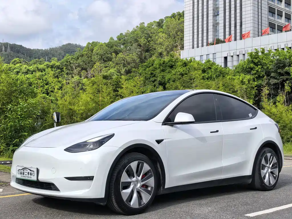 Tesla Model Y 2021 — фото 1