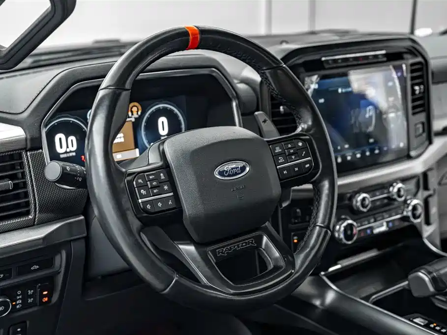 Ford F-150 Raptor 2024 — фото 19