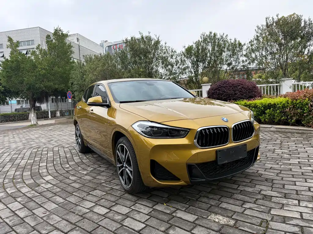 BMW X2 2019 — фото 3
