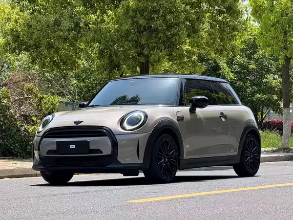 MINI 2021