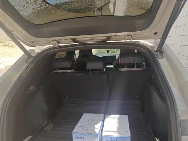 BYD Song PLUS New Energy 2024