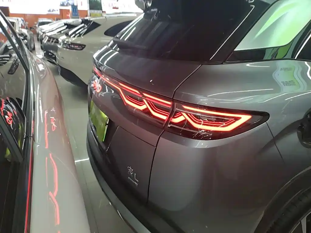 BYD L DM-i 2026 — фото 6