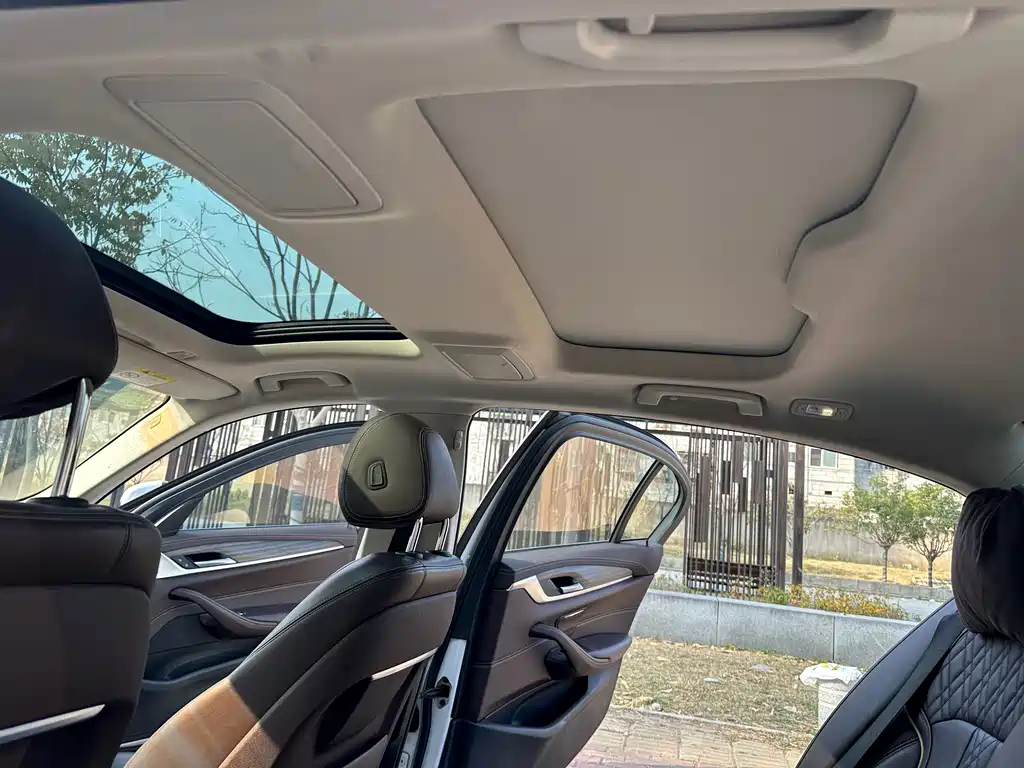 BMW 5 Series New Energy 2020 — фото 11