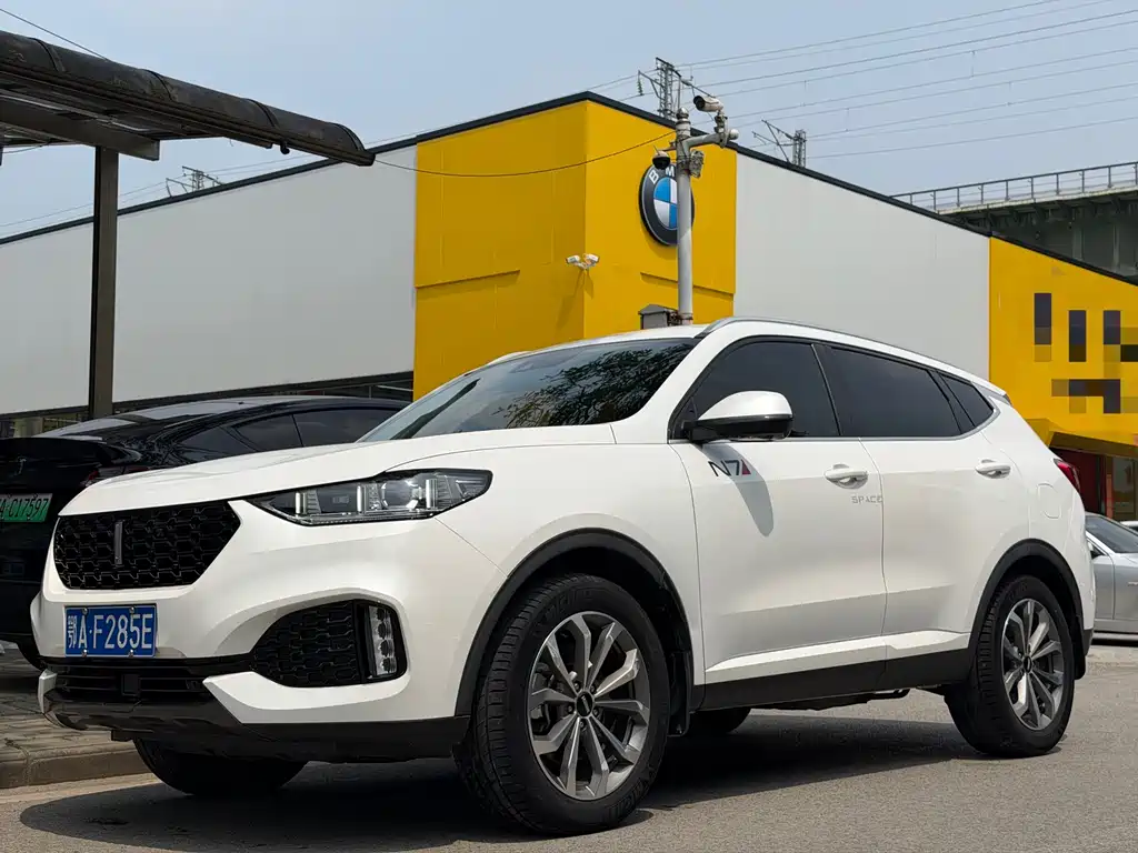 Wey VV6 2019