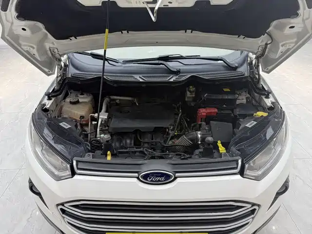 Ford Ecosport 2015 — фото 10