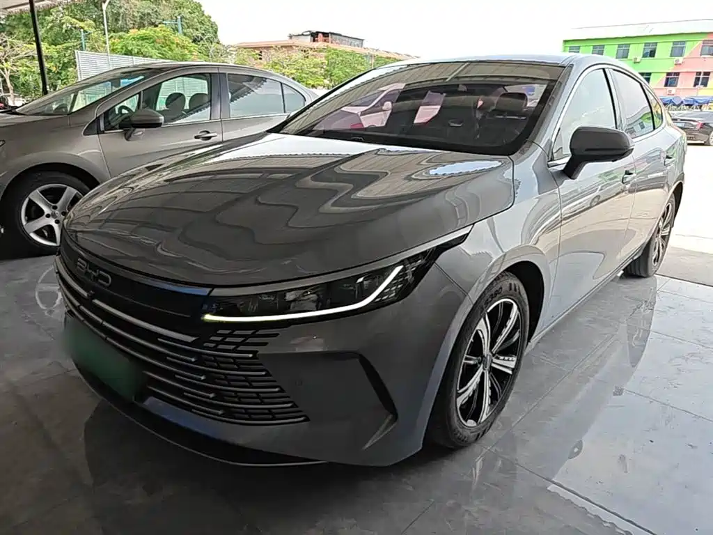 BYD Destroyer 05 2022 — фото 2