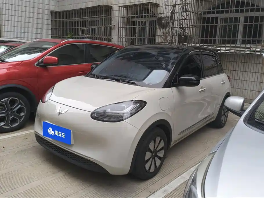 Wuling Bingo 2024