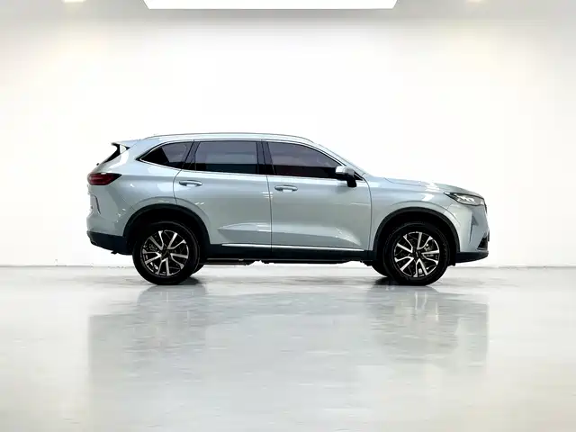 Haval H6 2023 — фото 8