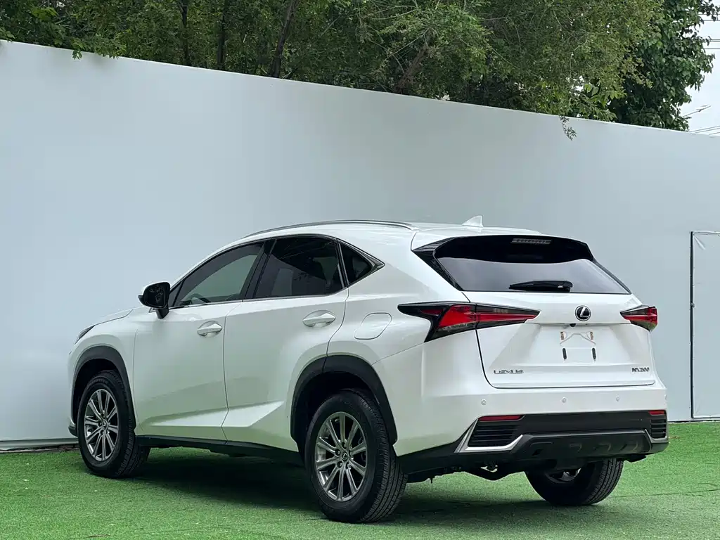 Lexus NX 2021 — фото 9