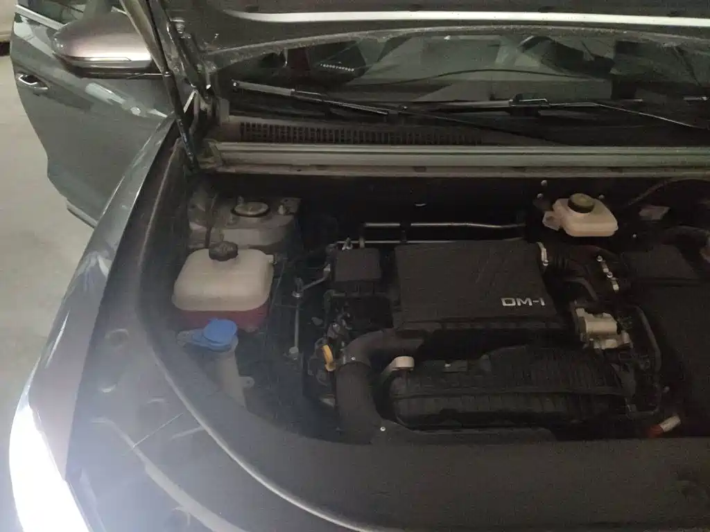 BYD Song Pro New Energy 2025 — фото 21