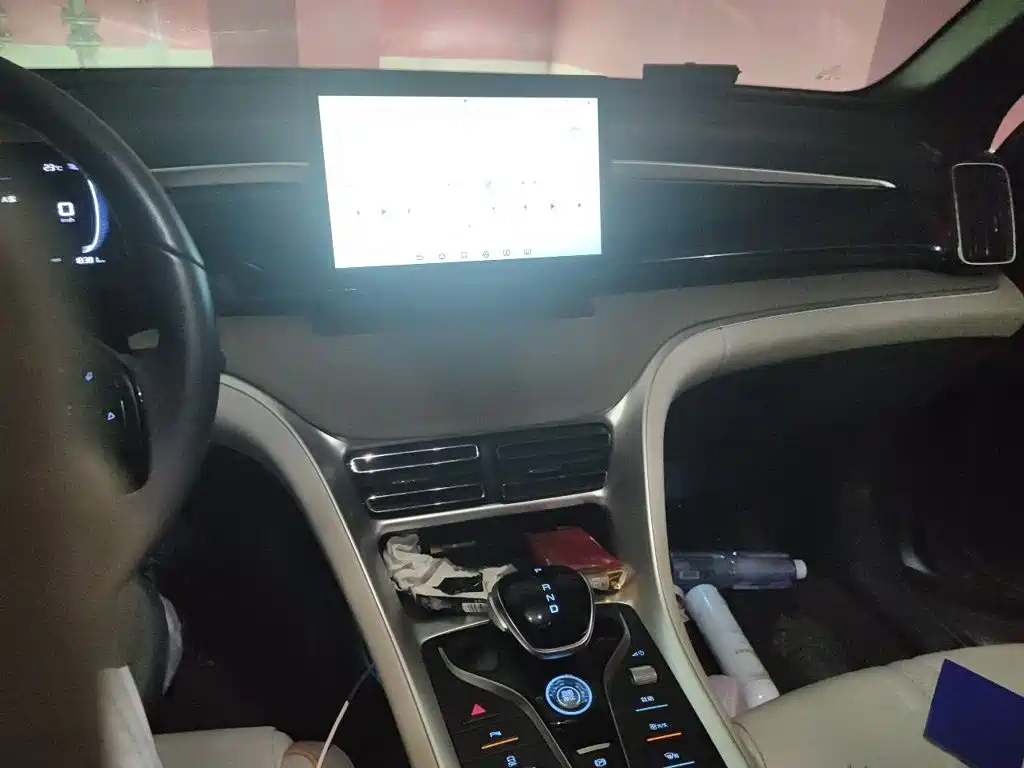 BYD Song Pro New Energy 2025 — фото 6