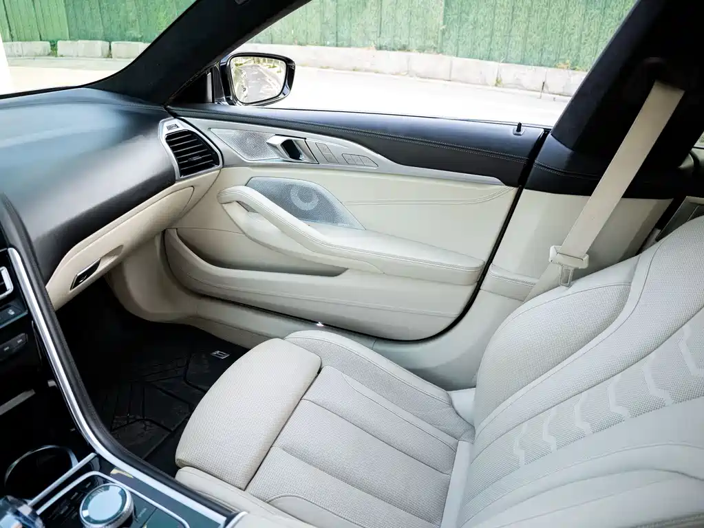 BMW 8 Series 2020 — фото 15