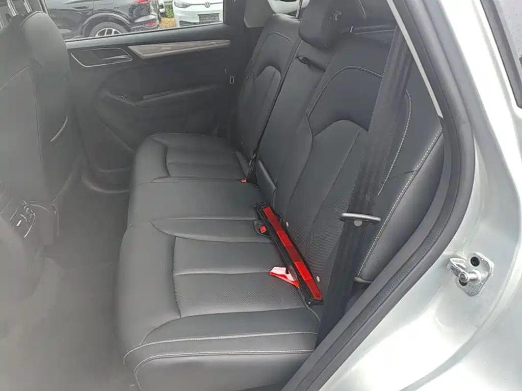 Roewe RX5 New Energy 2020 — фото 17