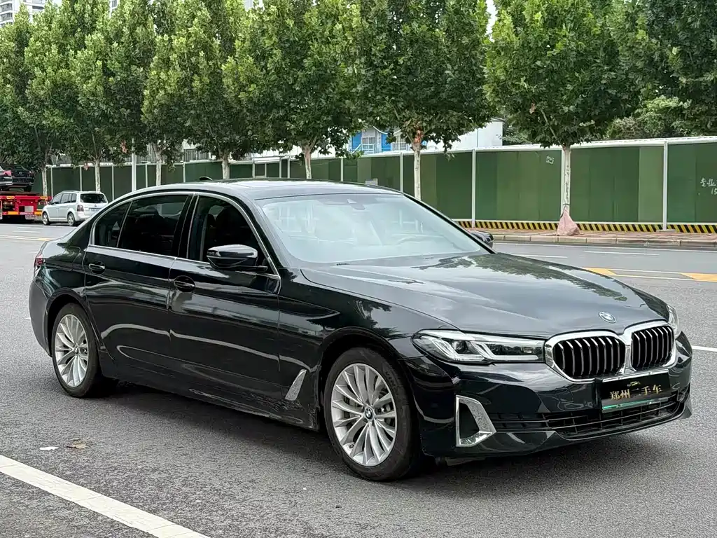 BMW 5 Series New Energy 2021