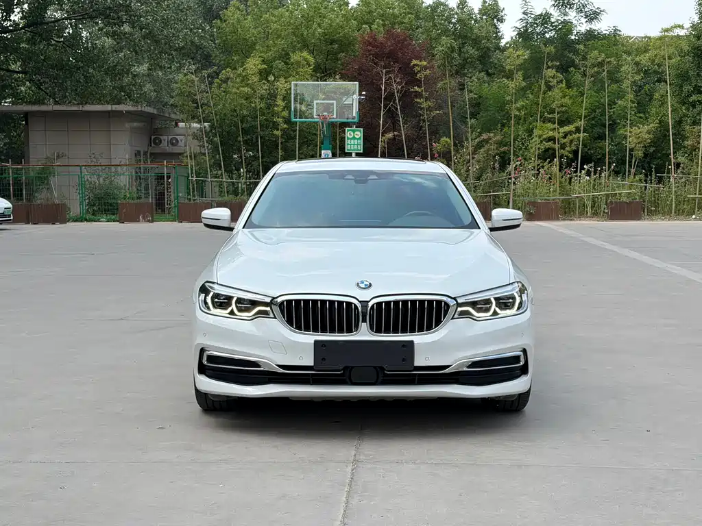 BMW 5 Series New Energy 2019