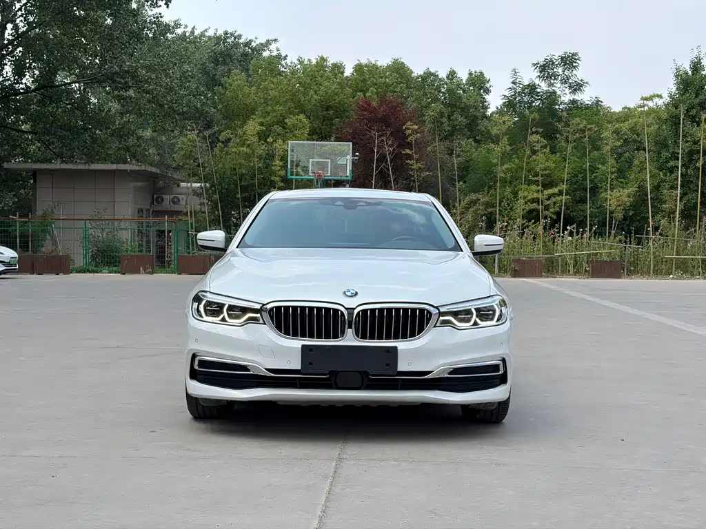 BMW 5 Series New Energy 2019
