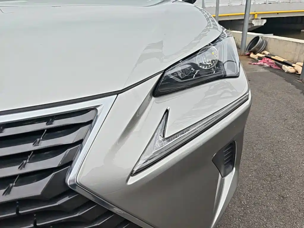 Lexus NX 2018 — фото 24