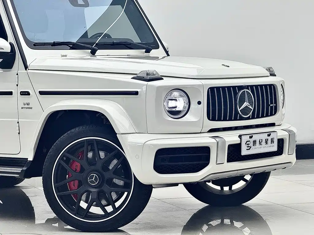 Mercedes-Benz G-Class AMG 2019 — фото 9
