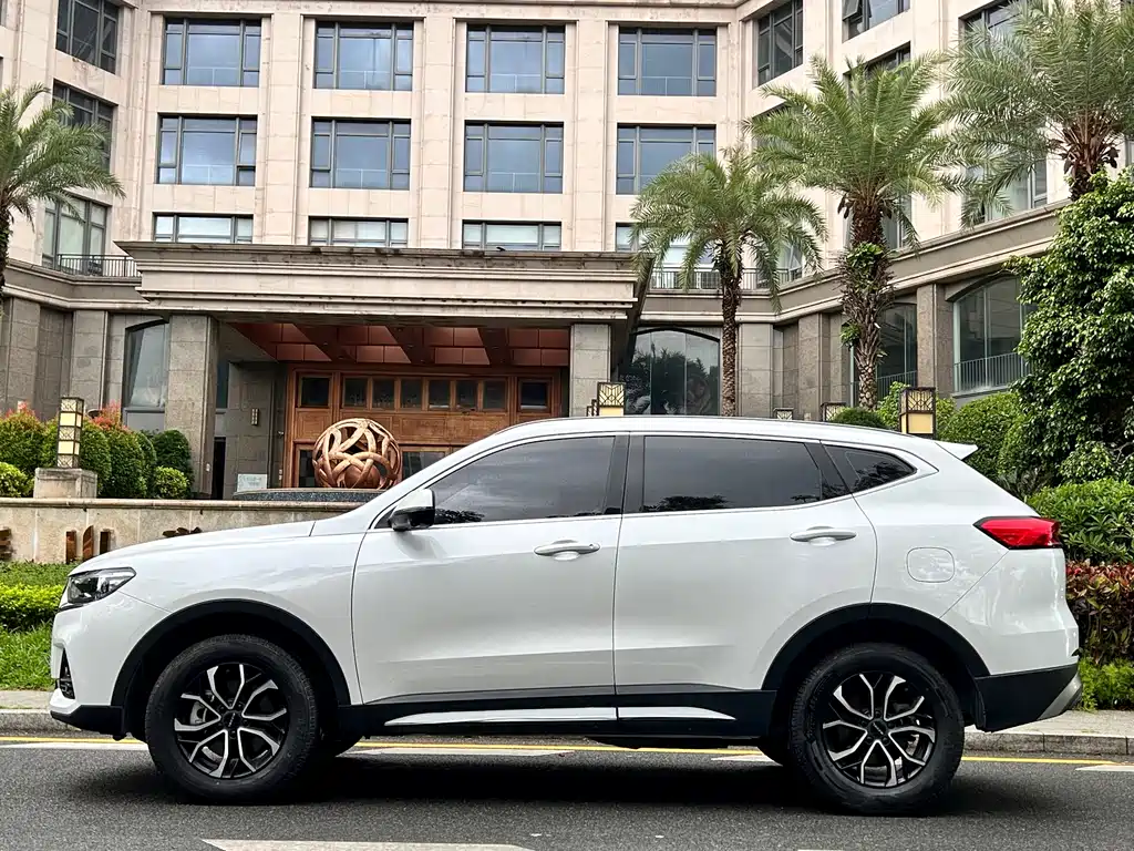 Haval H6 2024 — фото 4