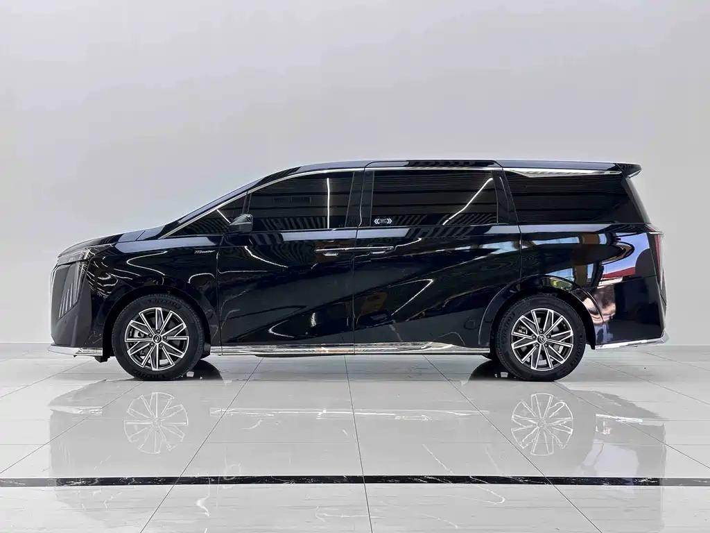 GAC Motor Trumpchi M8 2024 — фото 6