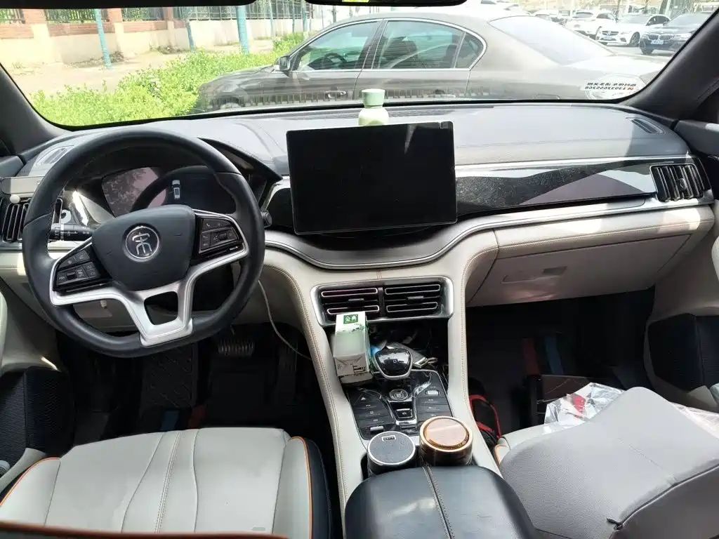 BYD PLUS New Energy 2021 — фото 13