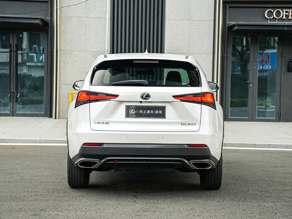 Lexus NX 2018 — фото 5