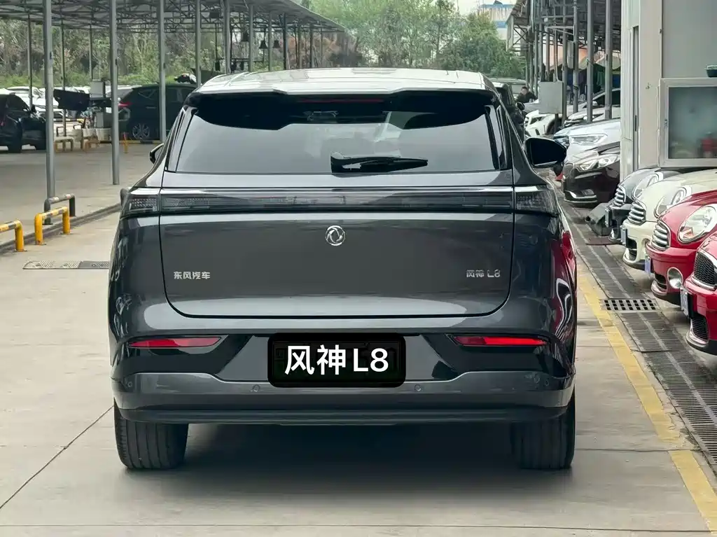 Dongfeng Fengshen L8 2025 — фото 8