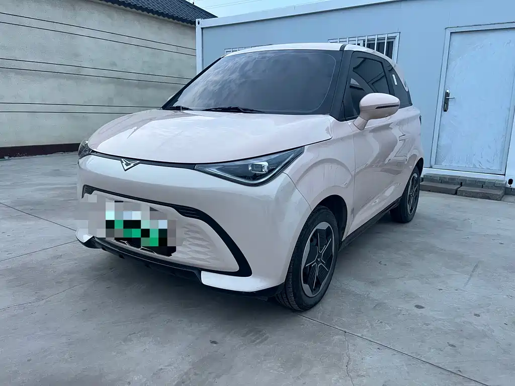 Cowin Shiyue 2024