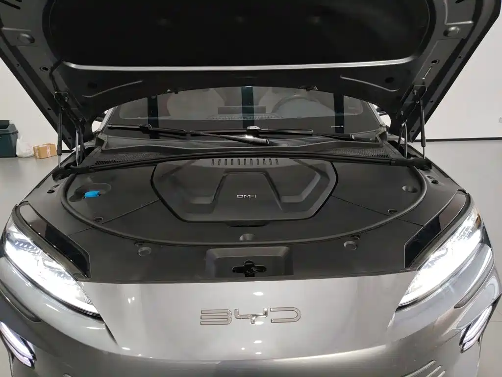 BYD Song PLUS New Energy 2024 — фото 16
