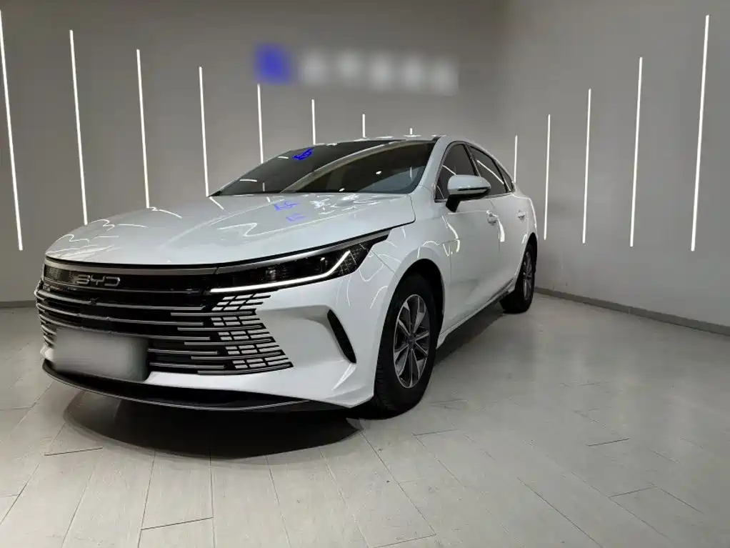BYD Destroyer 05 2025 — фото 1