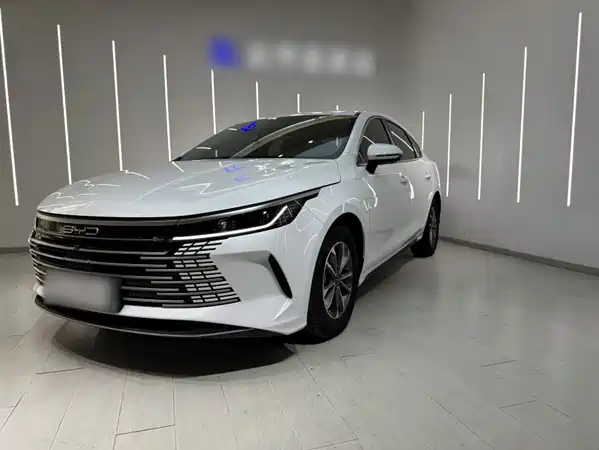 BYD Destroyer 05 2025