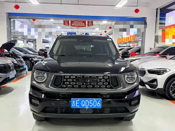 Haval Dog PLUS 2025