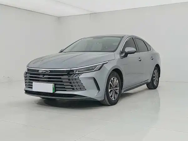 BYD Destroyer 05 2024