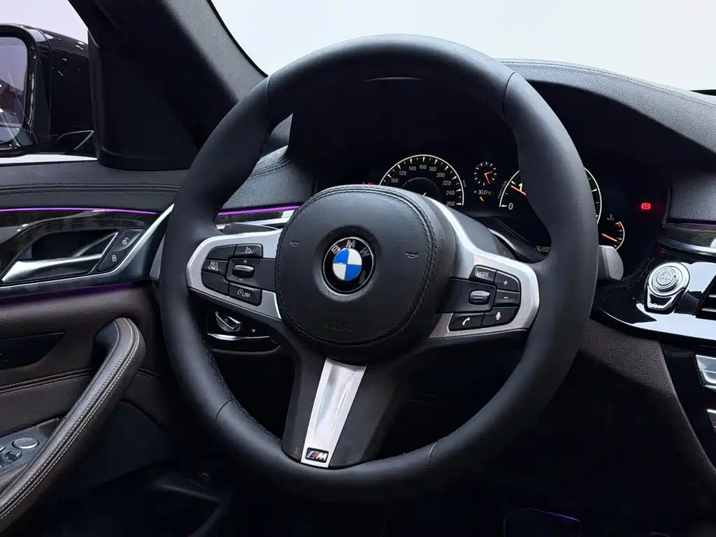 BMW 5 Series 2019 — фото 15