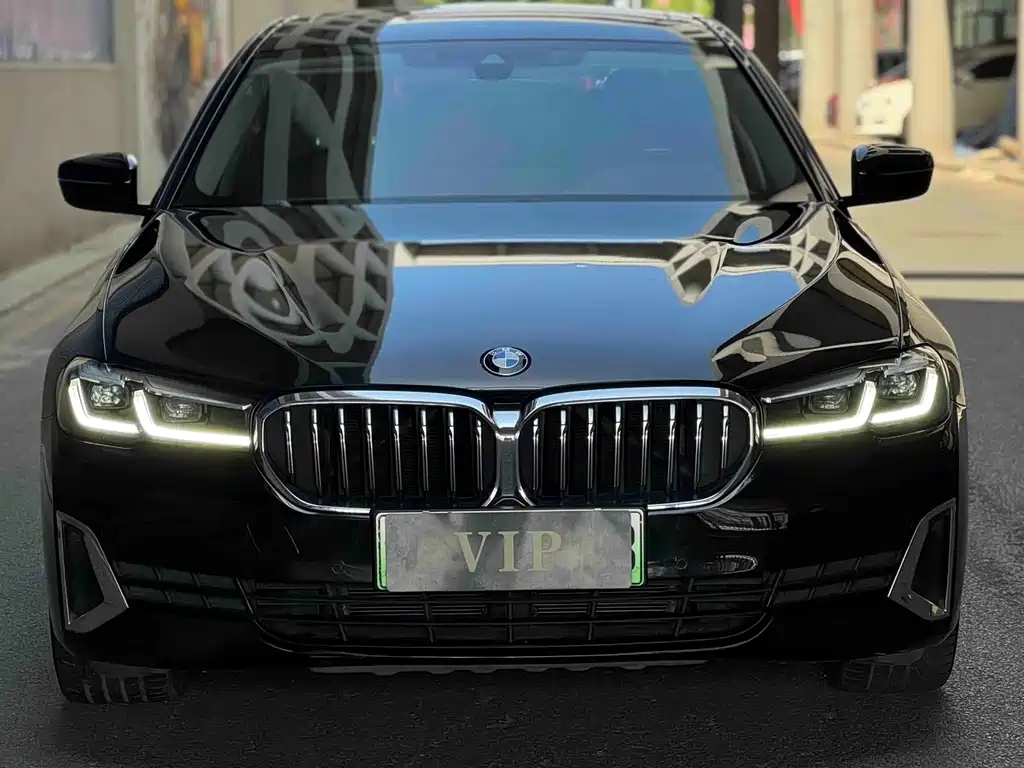 BMW 5 Series New Energy 2021