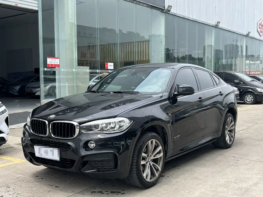 BMW X6 2019