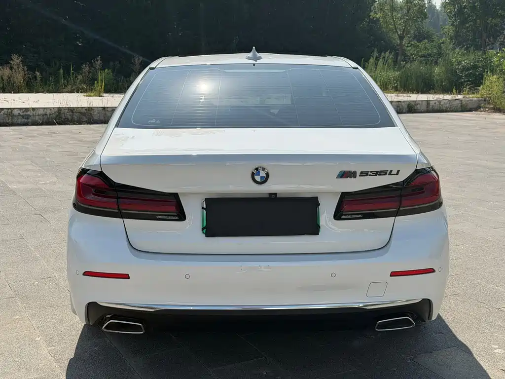 BMW 5 Series New Energy 2020