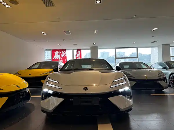 Lotus EMEYA 2026