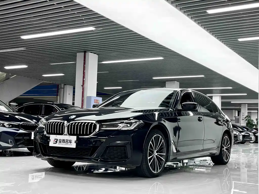 BMW 5 Series 2021