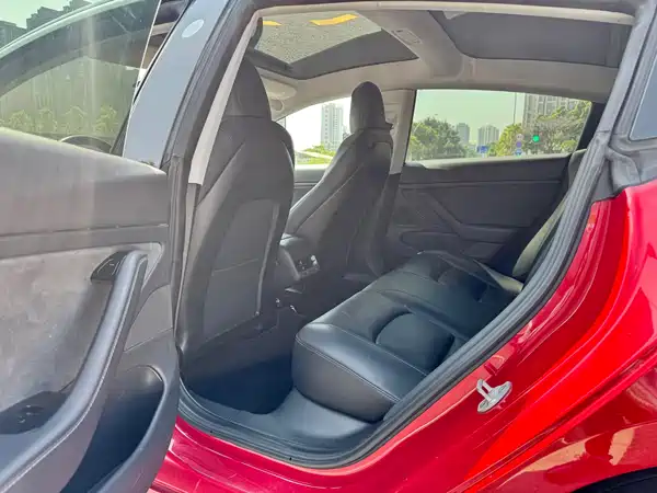 Tesla Model 3 2019