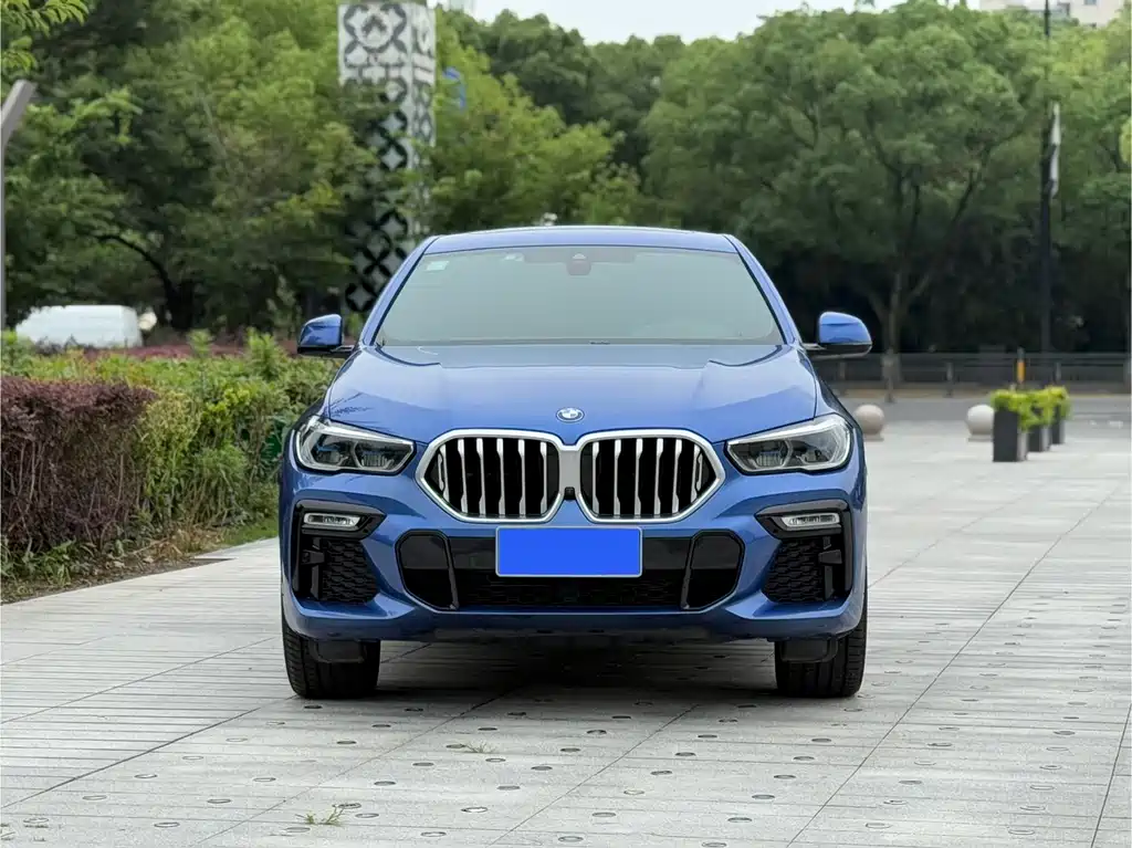 BMW X6 2021