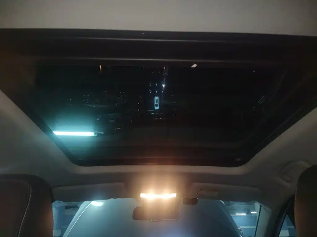 Roewe RX5 New Energy 2019 — фото 19