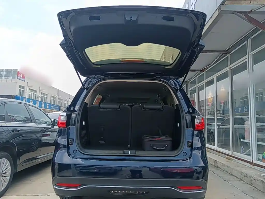 BYD Song MAX New Energy 2019 — фото 9