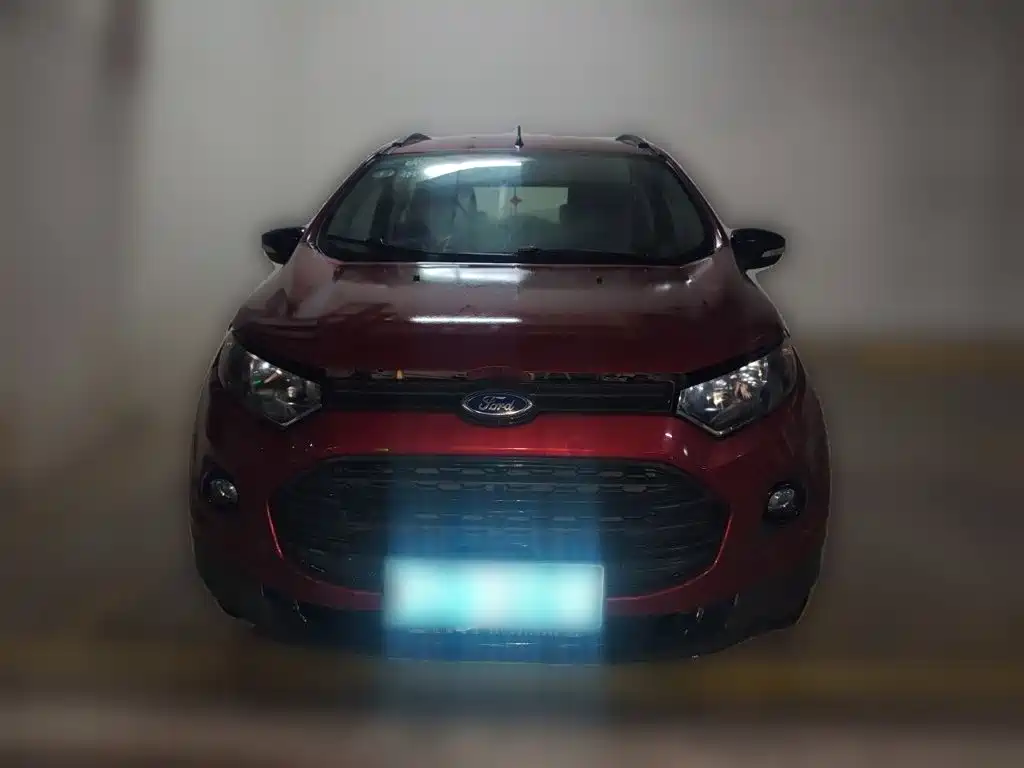Ford Ecosport 2017 — фото 24