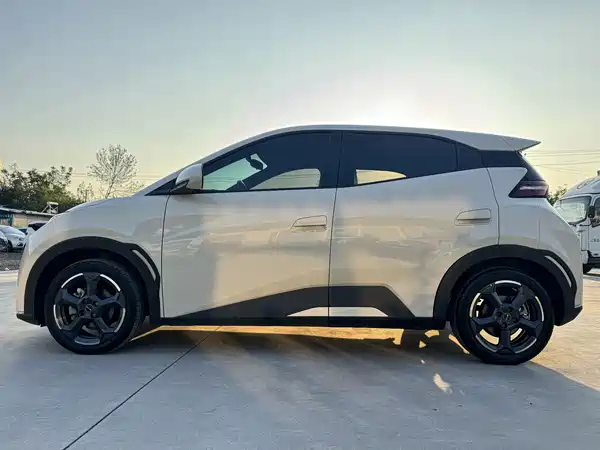 BYD Seagull 2024