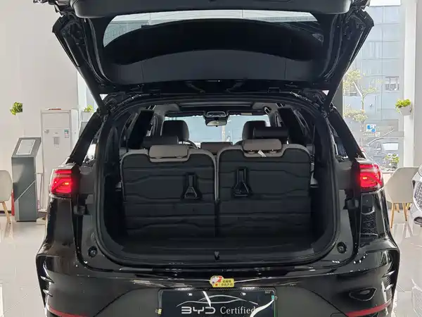 BYD Tang New Energy 2024