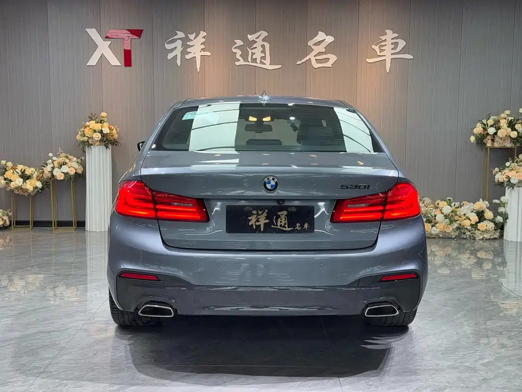 BMW 5 Series 2019 — фото 21