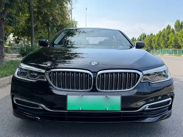 BMW 5 Series New Energy 2020