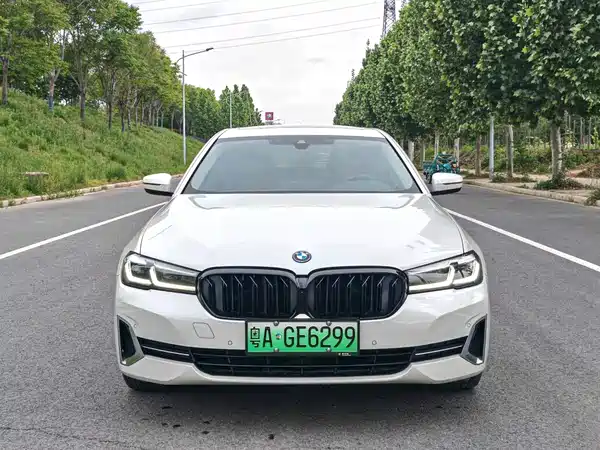 BMW 5 Series New Energy 2022