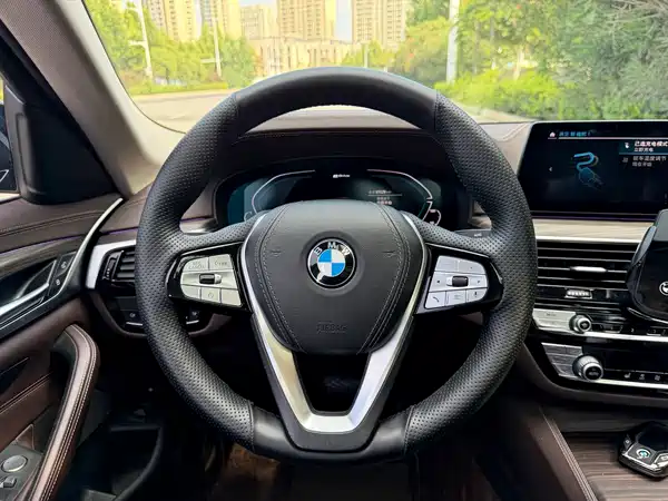 BMW 5 Series New Energy 2020